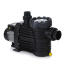 Speck Badu Pumps