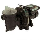 Variable Speed Pool Pumps