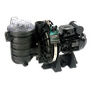 Pool Pumps