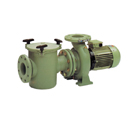 Astral Aral C-3000 Pump 12.5 HP 690V