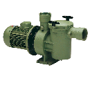 Astral Aral SP-3000 Cast Iron Pump 2HP