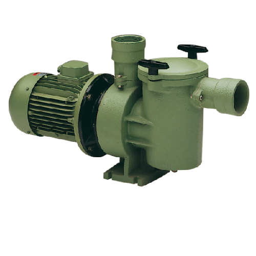 Astral Aral SP-3000 Cast Iron Pump 5.5HP
