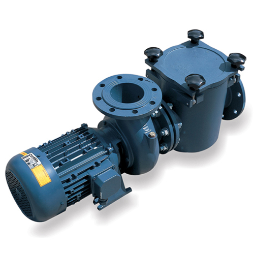 Certikin BP Cast Iron 3hp Pump 3000RPM
