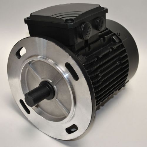 Surecast Modern SP Pump Motor Item 21 #2